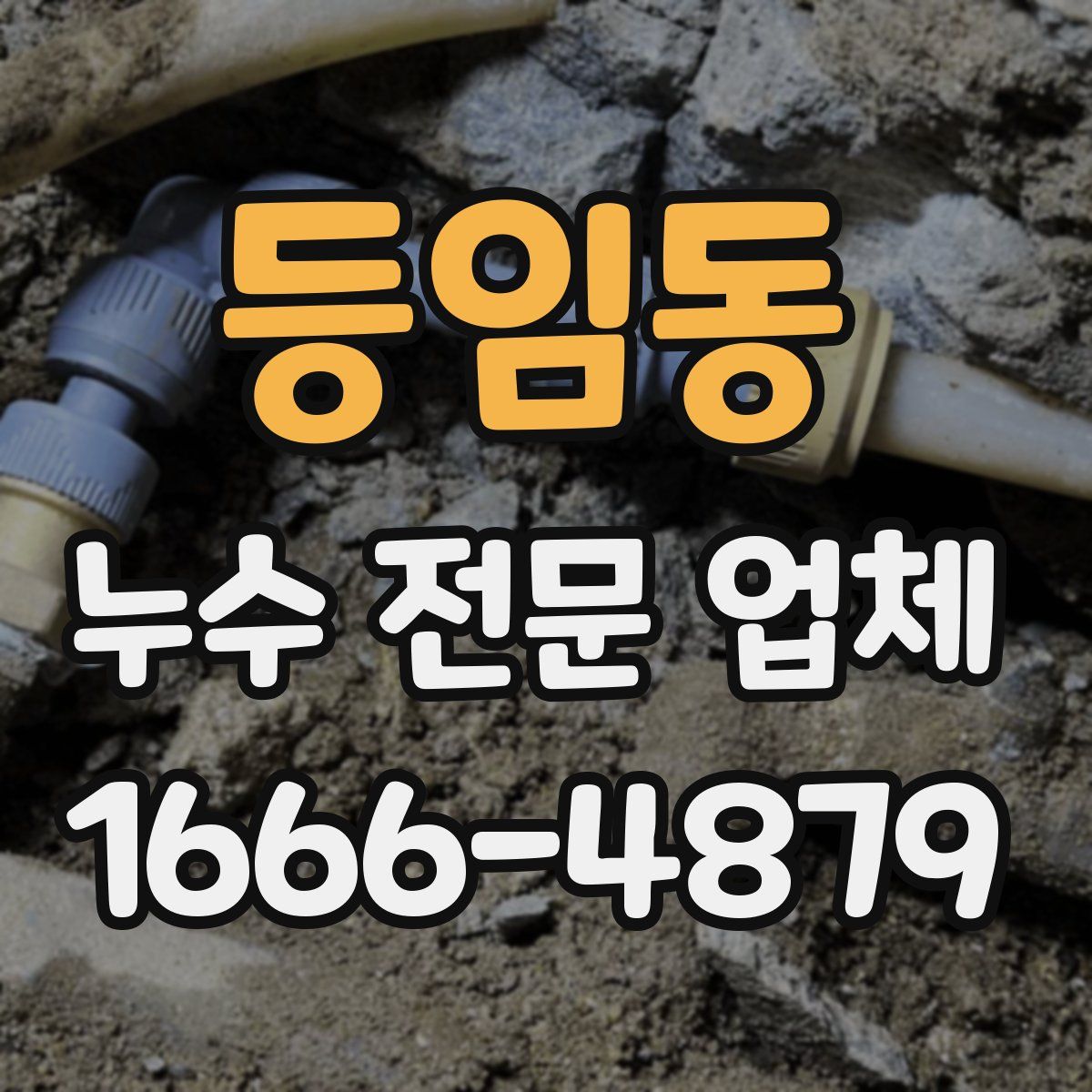 등임동 누수 전문 업체