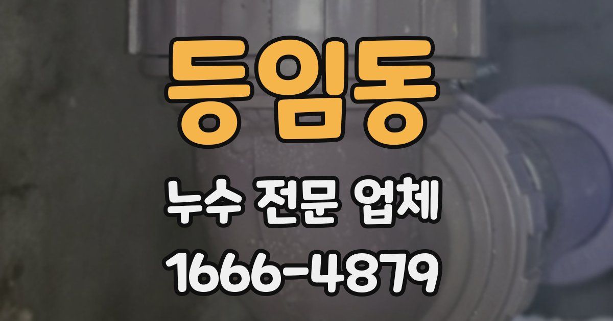 등임동 누수 전문 업체