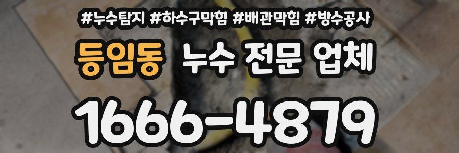 등임동 누수 전문 업체