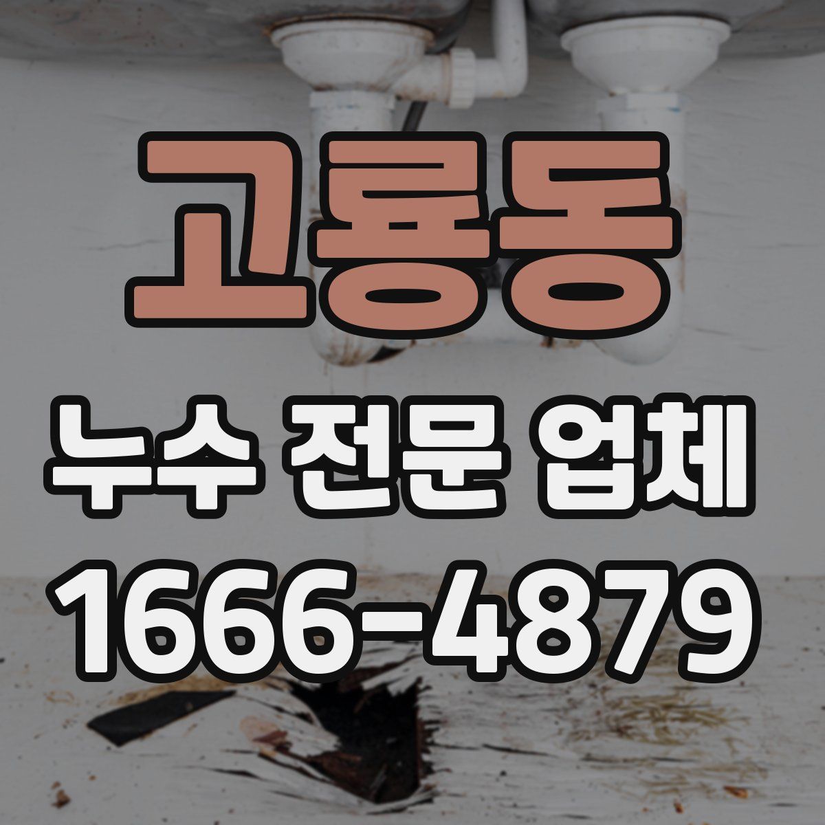 고룡동 누수 전문 업체