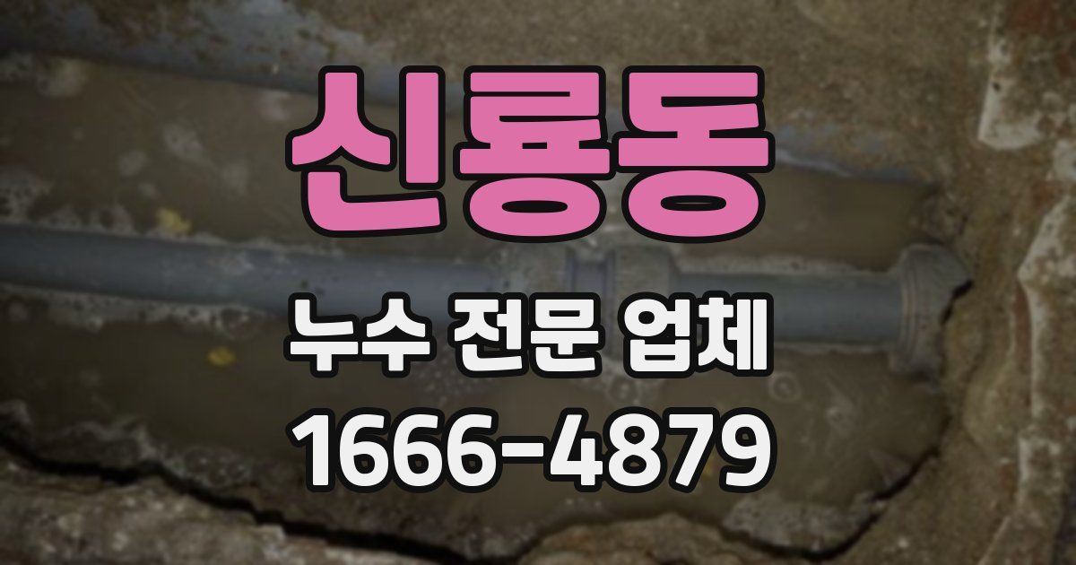 신룡동 누수 전문 업체