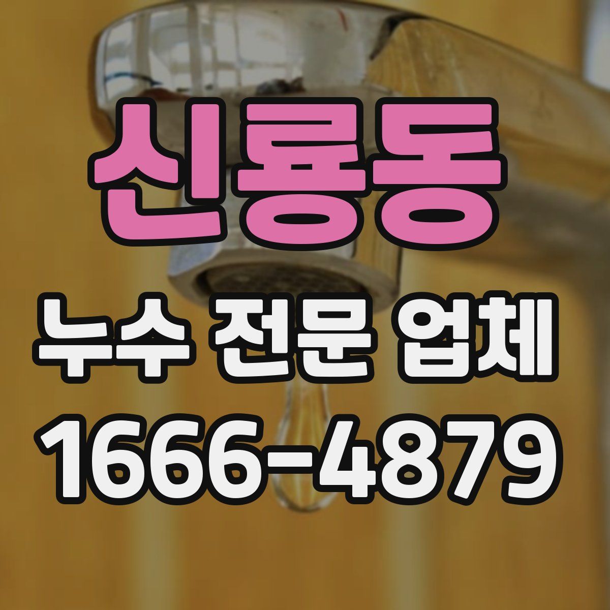 신룡동 누수 전문 업체