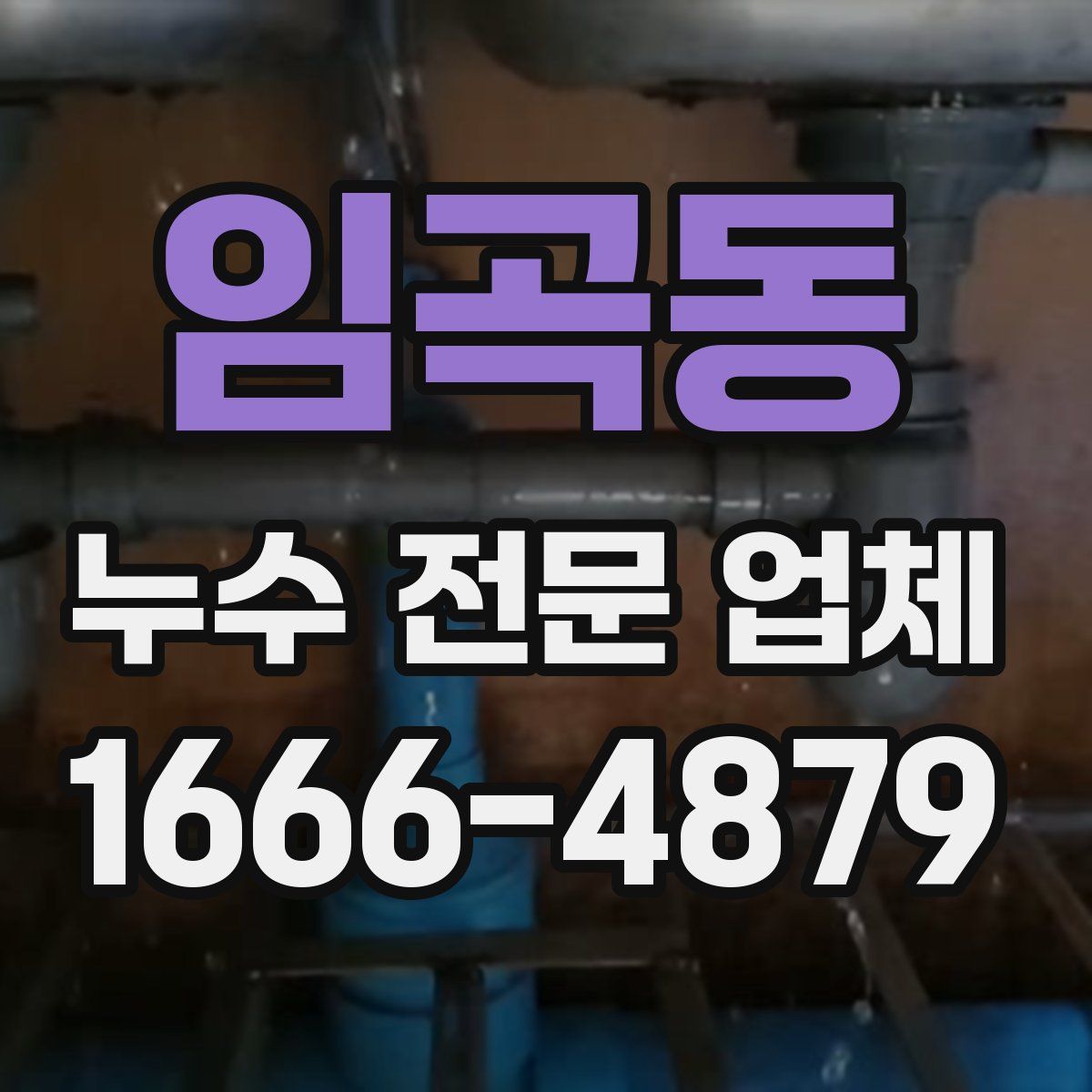 임곡동 누수 전문 업체