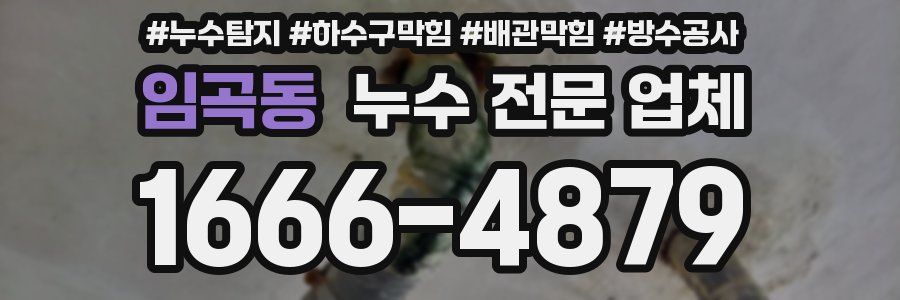 임곡동 누수 전문 업체