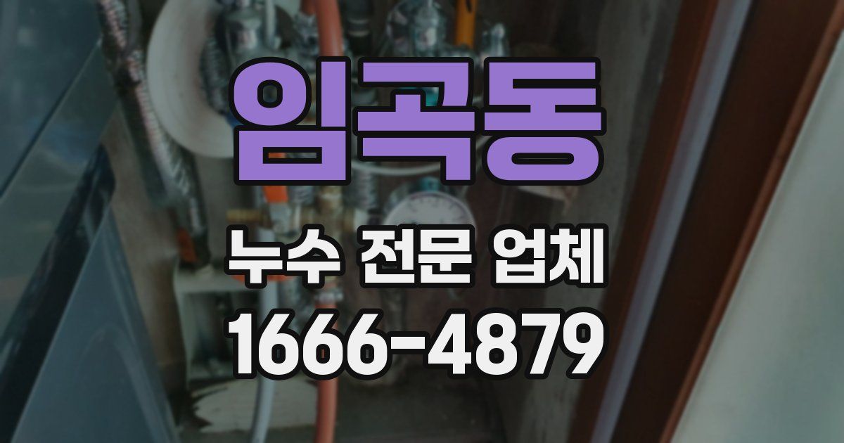 임곡동 누수 전문 업체