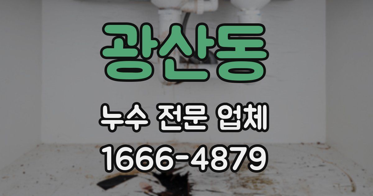 광산동 누수 전문 업체