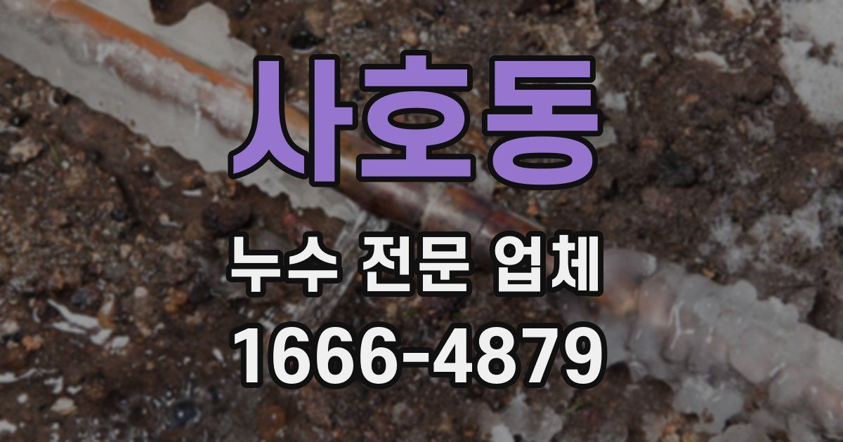 사호동 누수 전문 업체