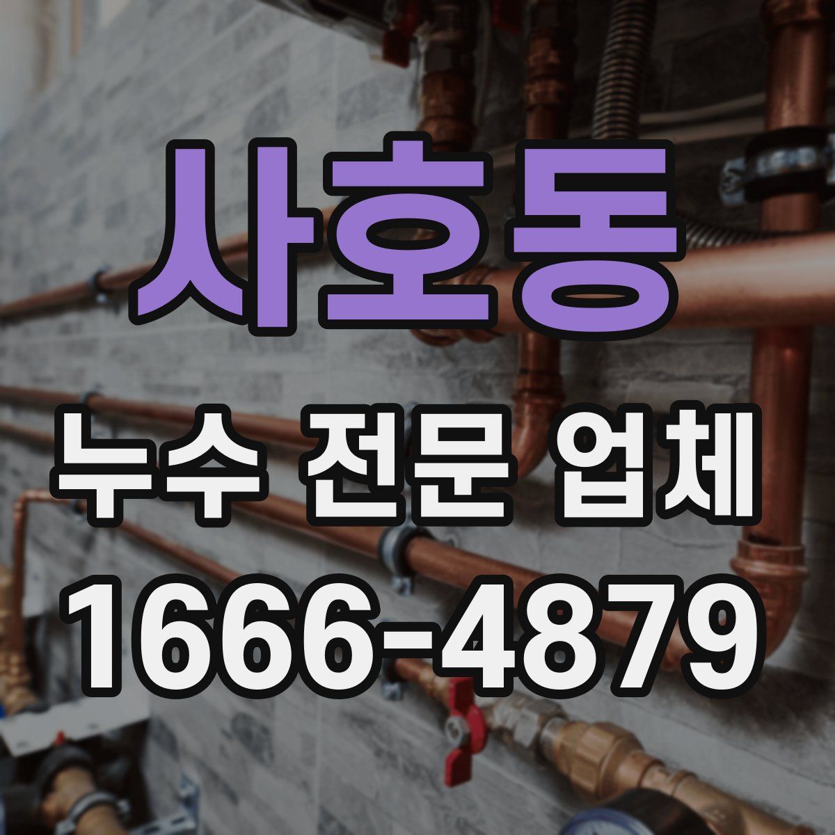 사호동 누수 전문 업체