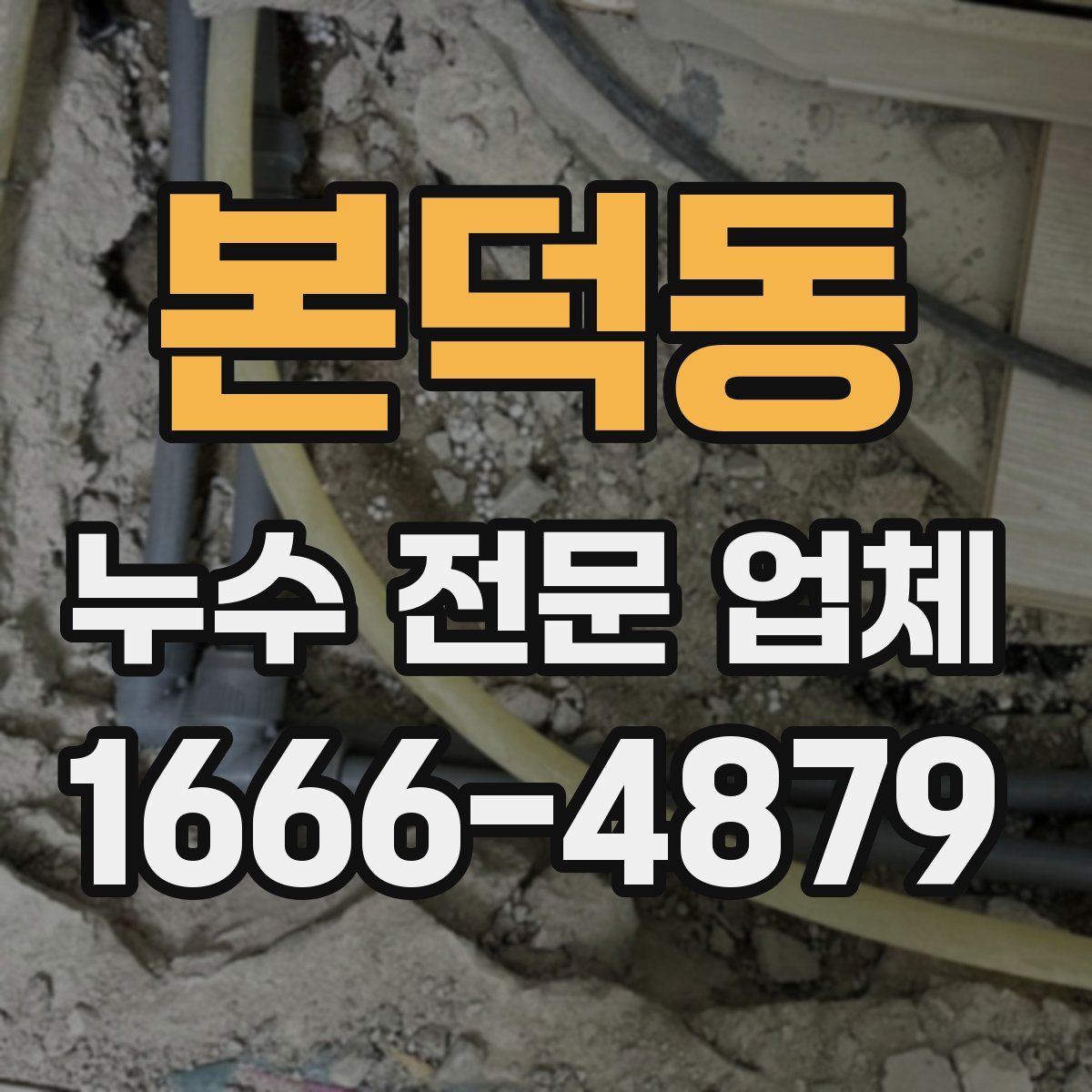 본덕동 누수 전문 업체