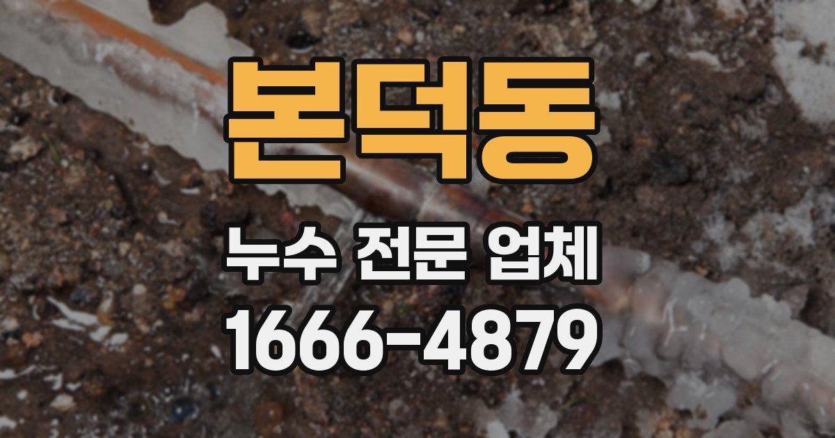 본덕동 누수 전문 업체