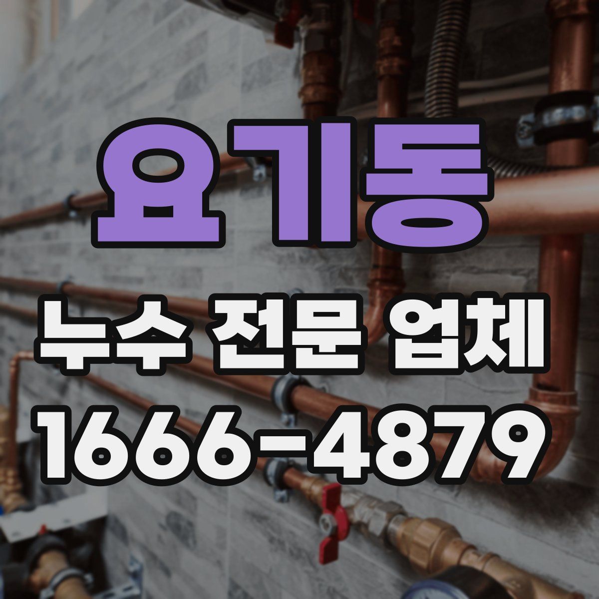 요기동 누수 전문 업체