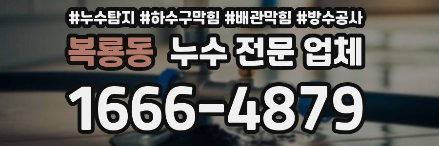 복룡동 누수 전문 업체