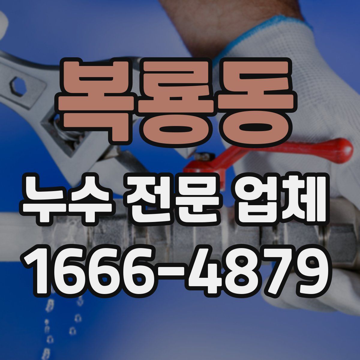 복룡동 누수 전문 업체