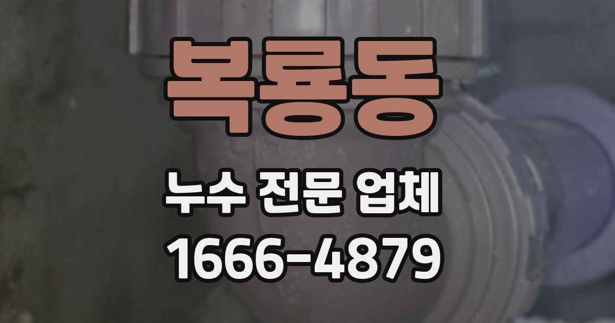 복룡동 누수 전문 업체