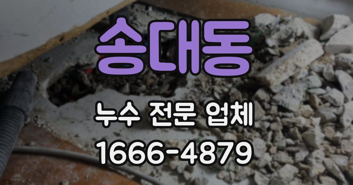 송대동 누수 전문 업체