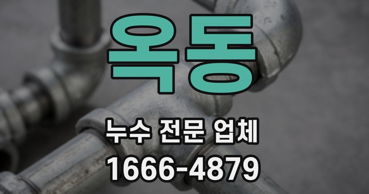 옥동 누수 전문 업체
