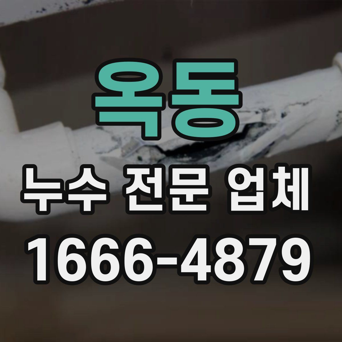 옥동 누수 전문 업체