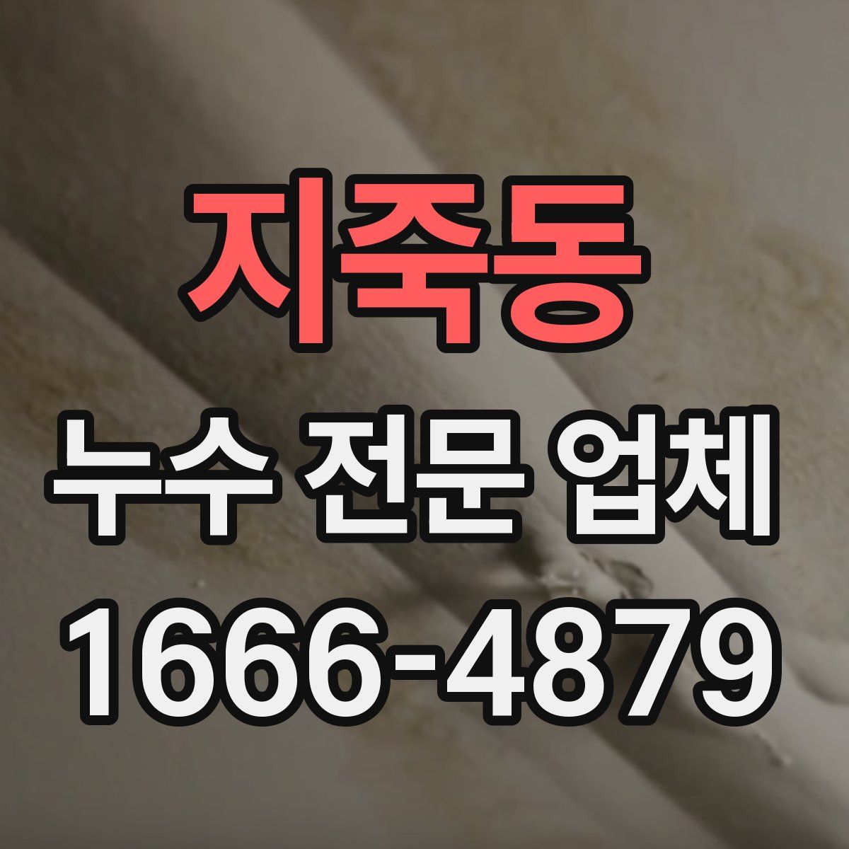 지죽동 누수 전문 업체