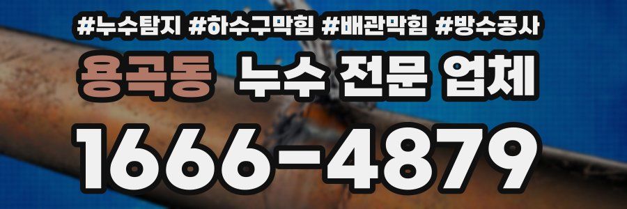 용곡동 누수 전문 업체