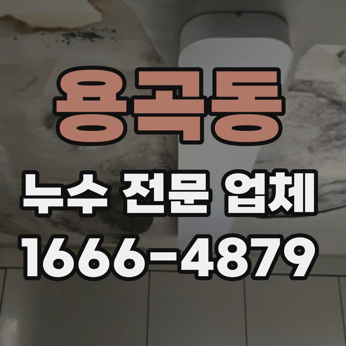 용곡동 누수 전문 업체
