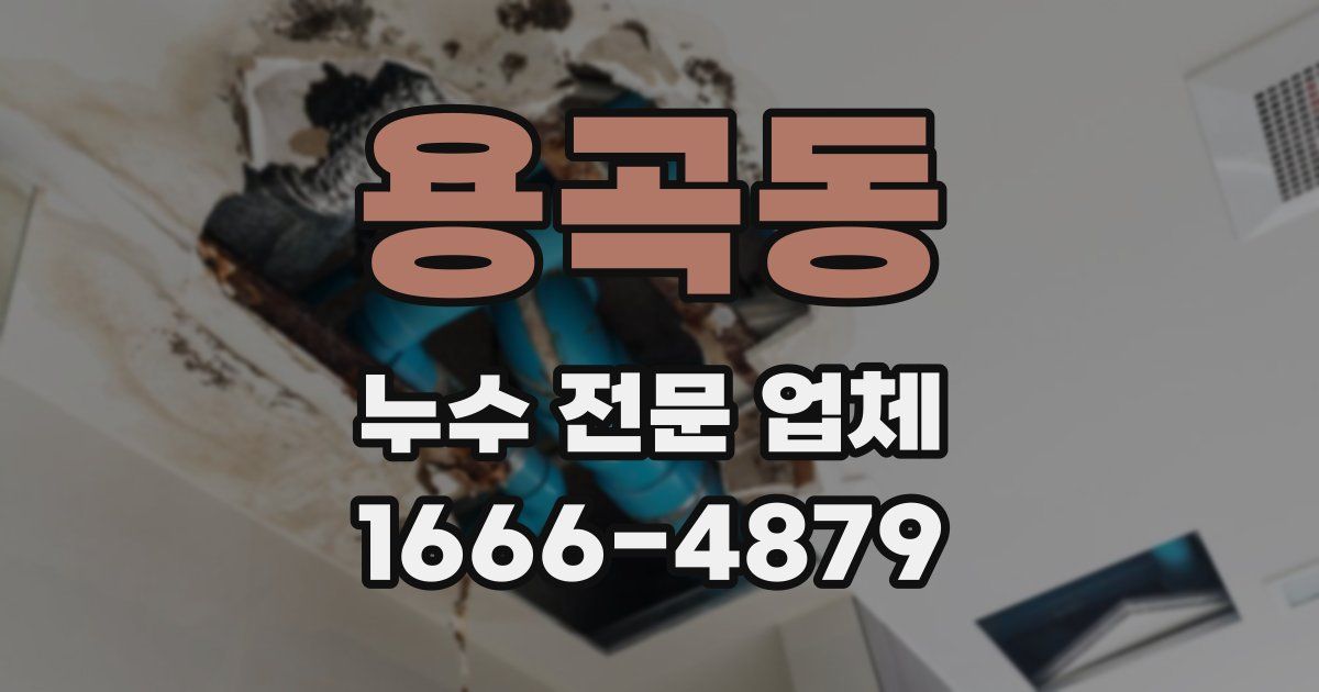 용곡동 누수 전문 업체