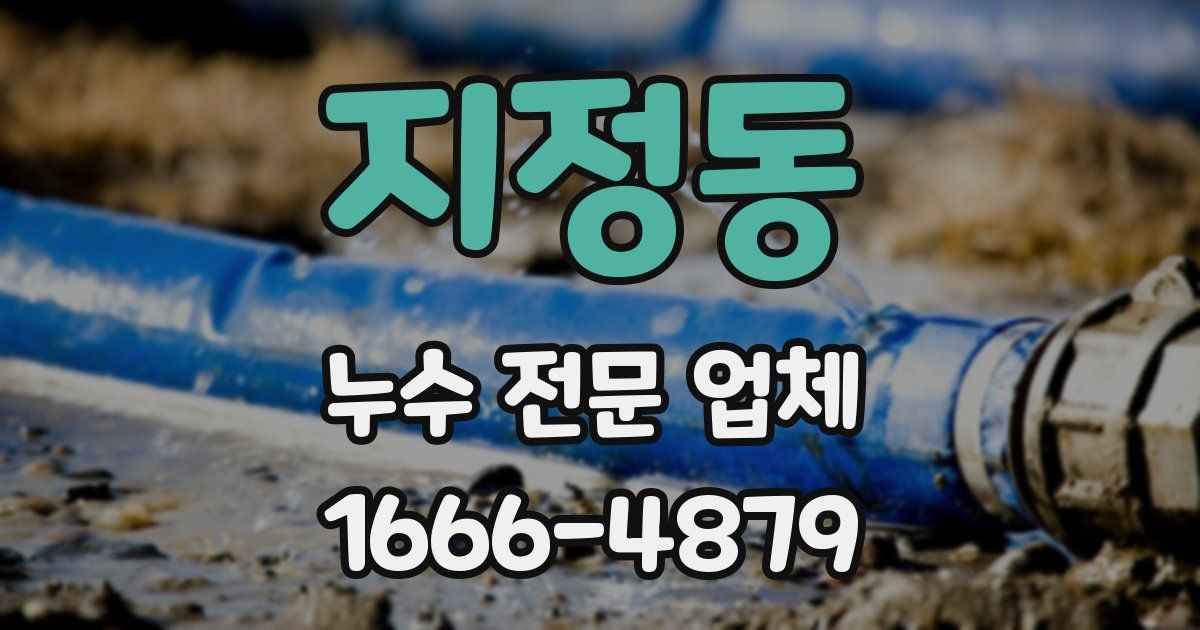 지정동 누수 전문 업체