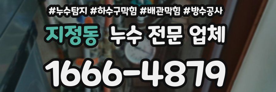 지정동 누수 전문 업체