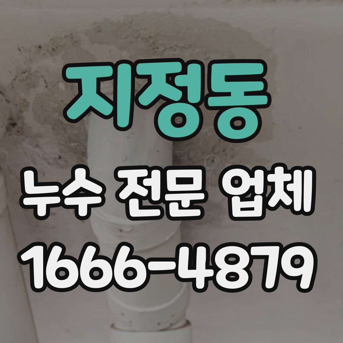 지정동 누수 전문 업체