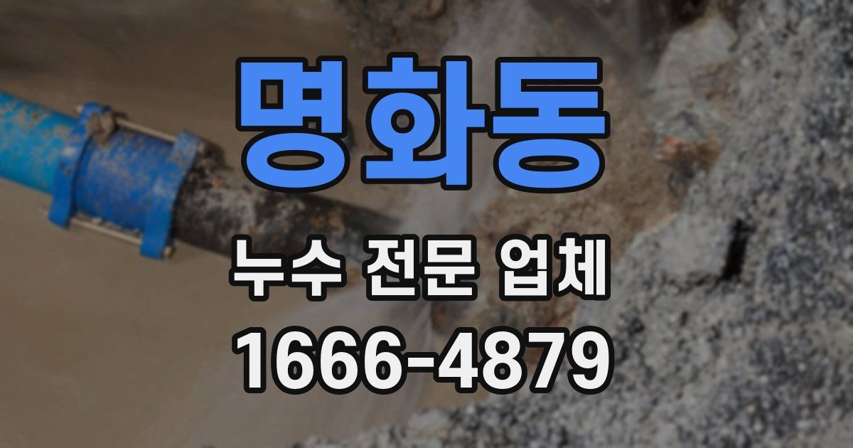 명화동 누수 전문 업체