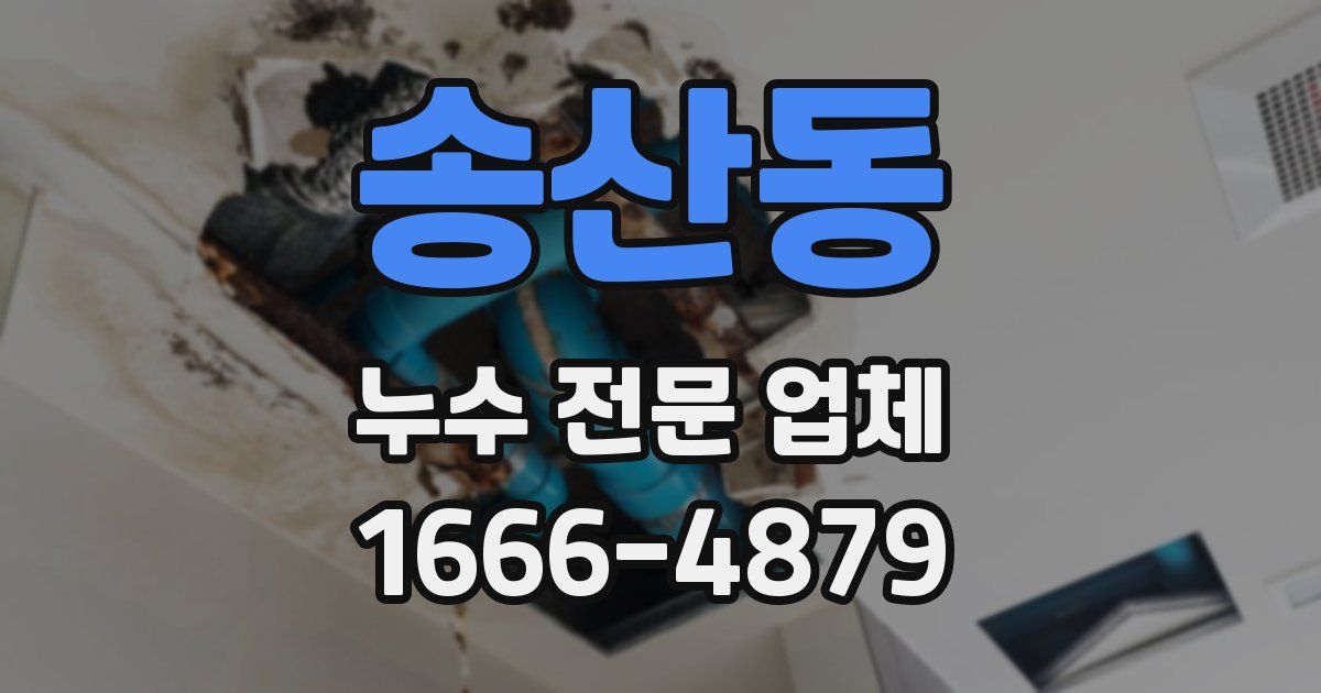 송산동 누수 전문 업체