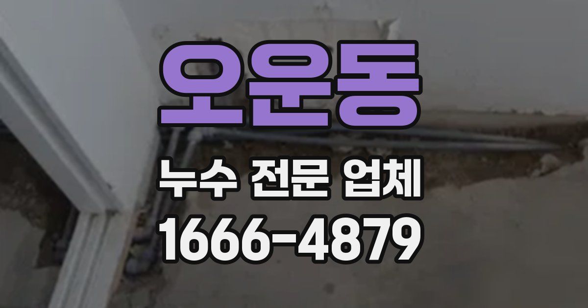 오운동 누수 전문 업체