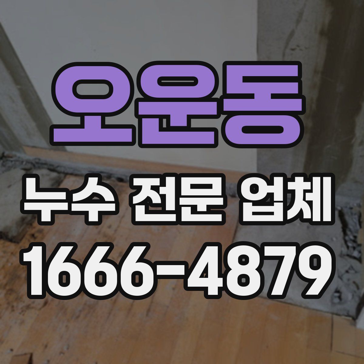 오운동 누수 전문 업체