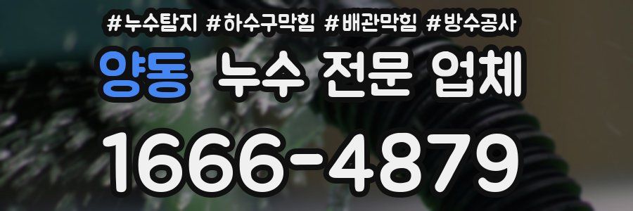 양동 누수 전문 업체