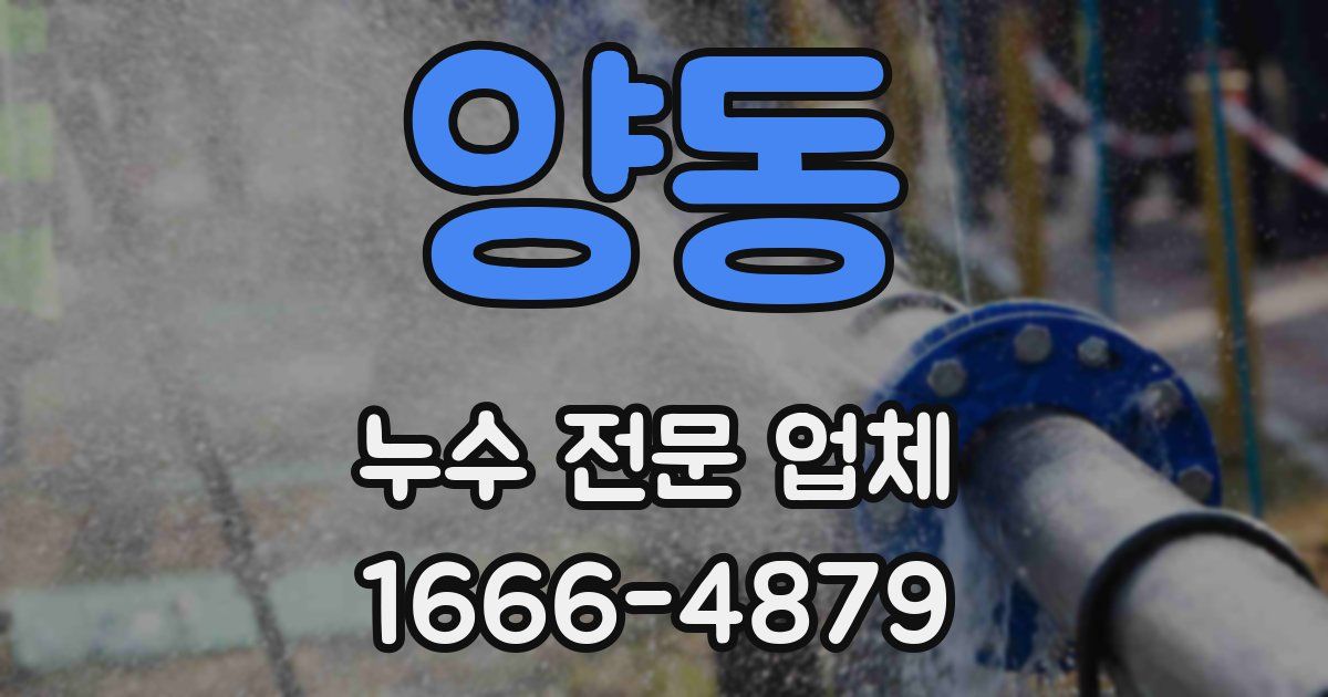 양동 누수 전문 업체