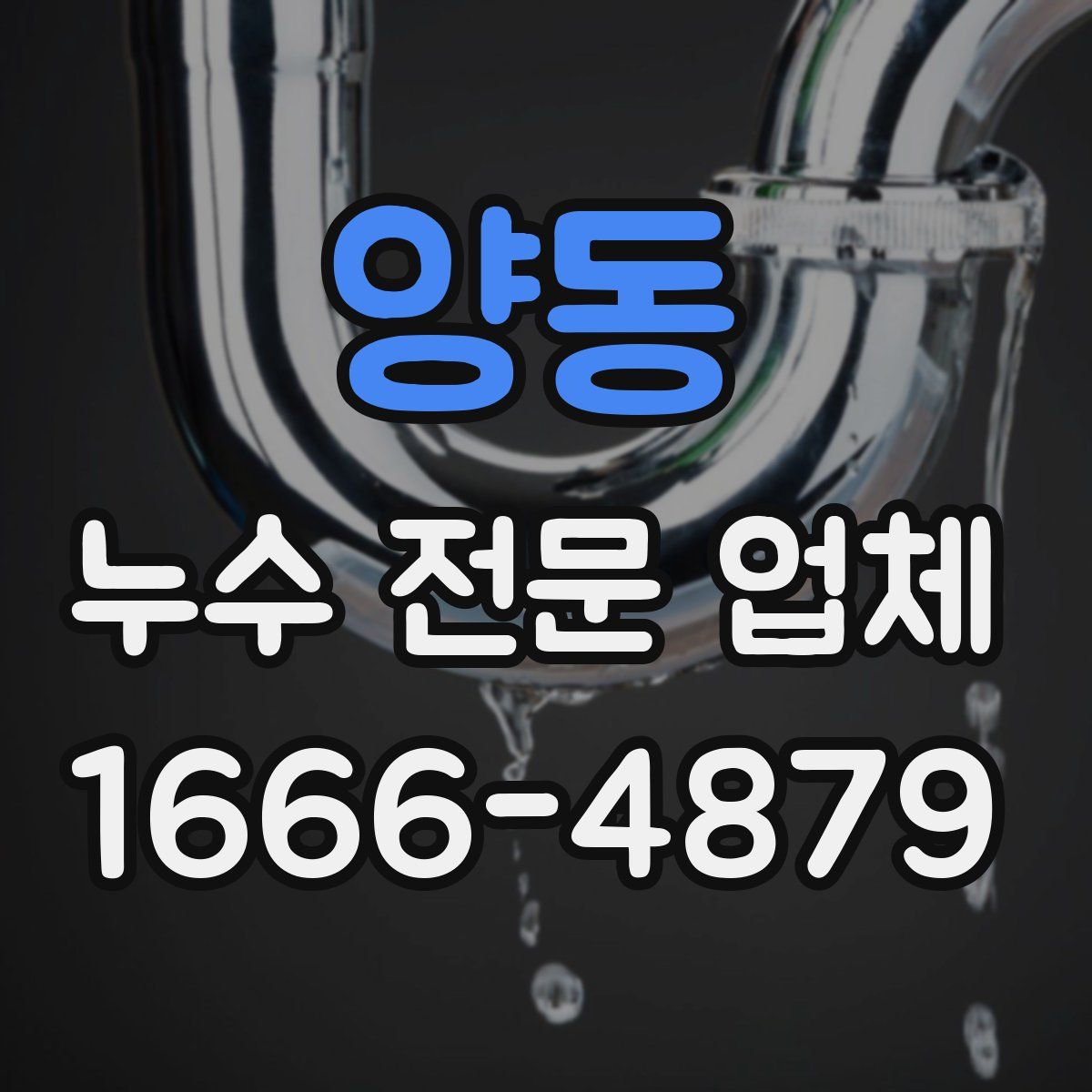 양동 누수 전문 업체