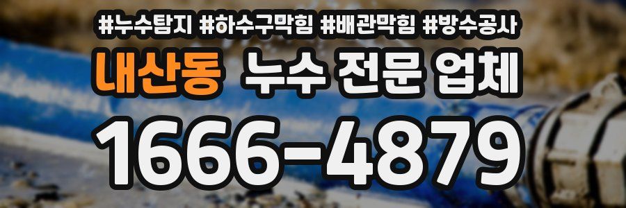 내산동 누수 전문 업체