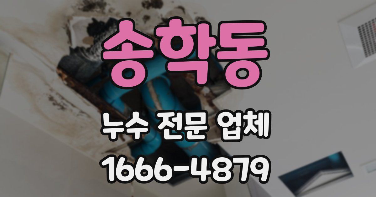 송학동 누수 전문 업체