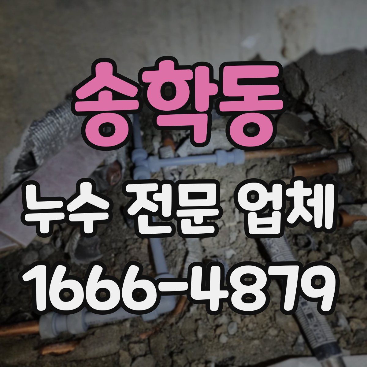 송학동 누수 전문 업체