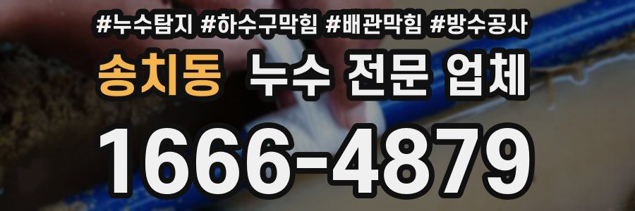 송치동 누수 전문 업체