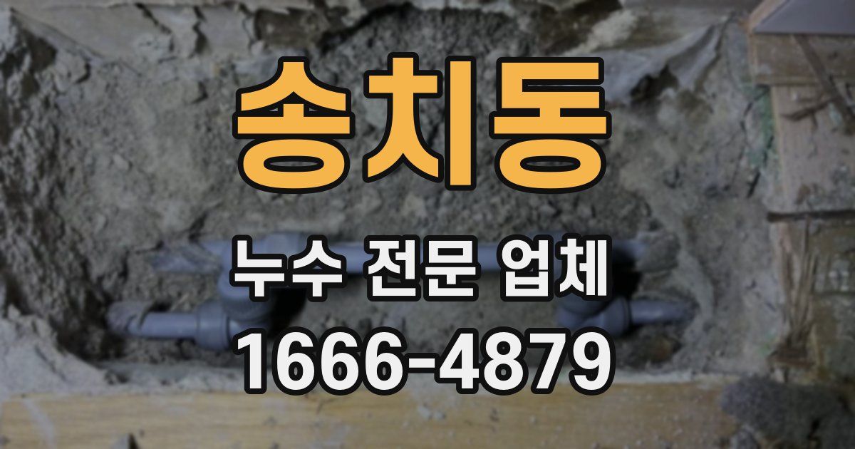 송치동 누수 전문 업체
