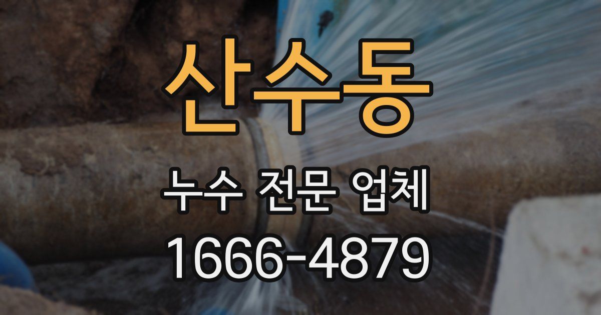 산수동 누수 전문 업체