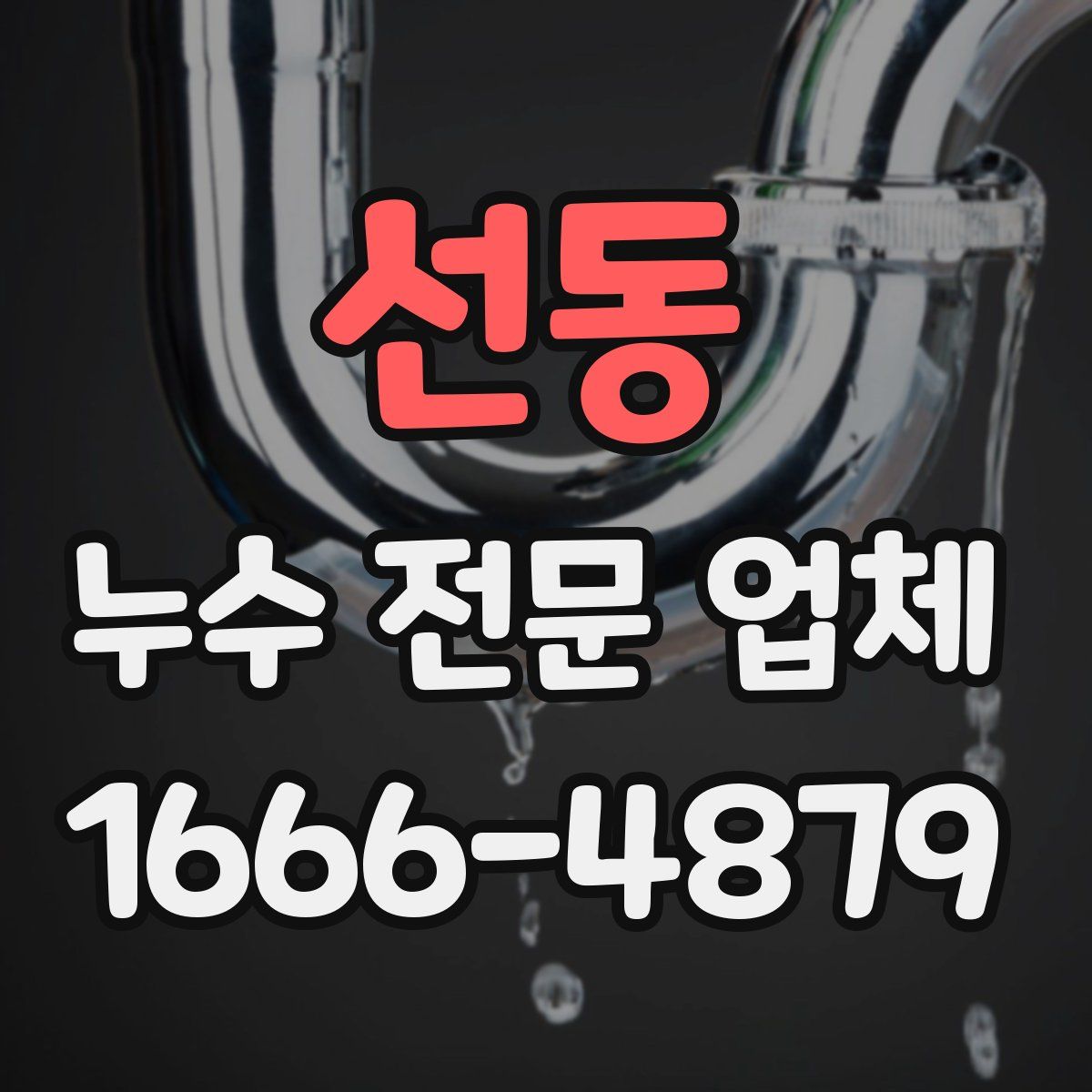 선동 누수 전문 업체