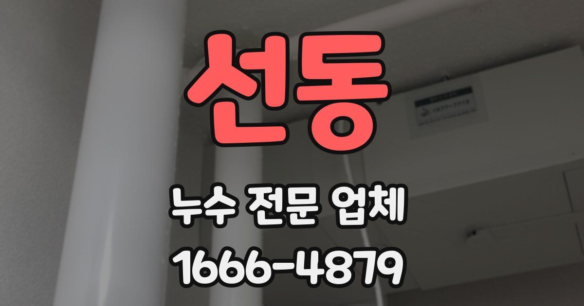 선동 누수 전문 업체