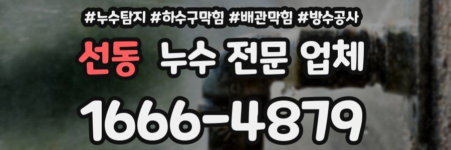 선동 누수 전문 업체