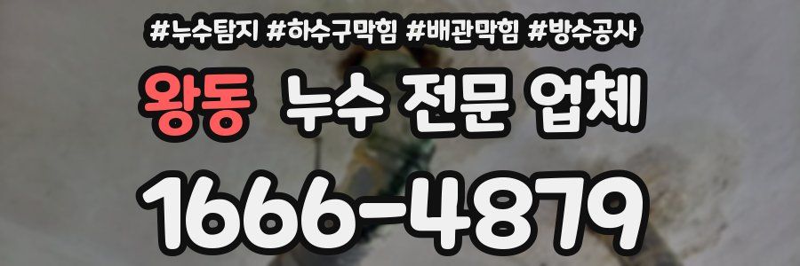왕동 누수 전문 업체