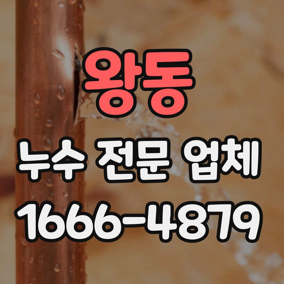 왕동 누수 전문 업체