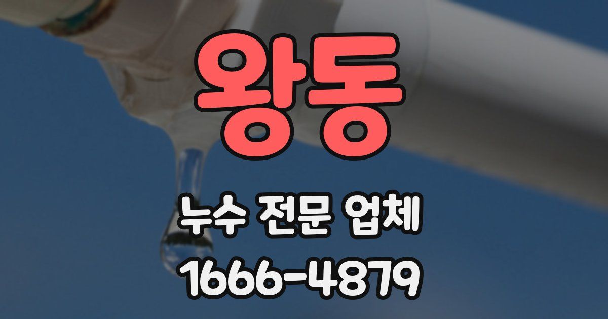 왕동 누수 전문 업체