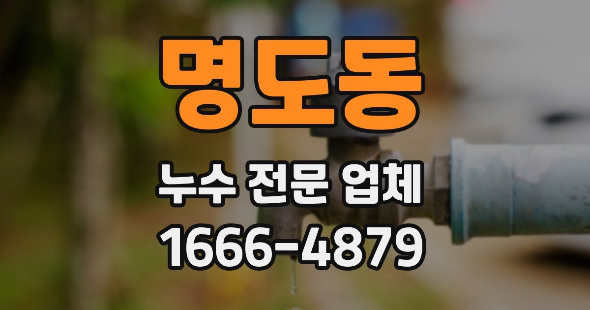 명도동 누수 전문 업체