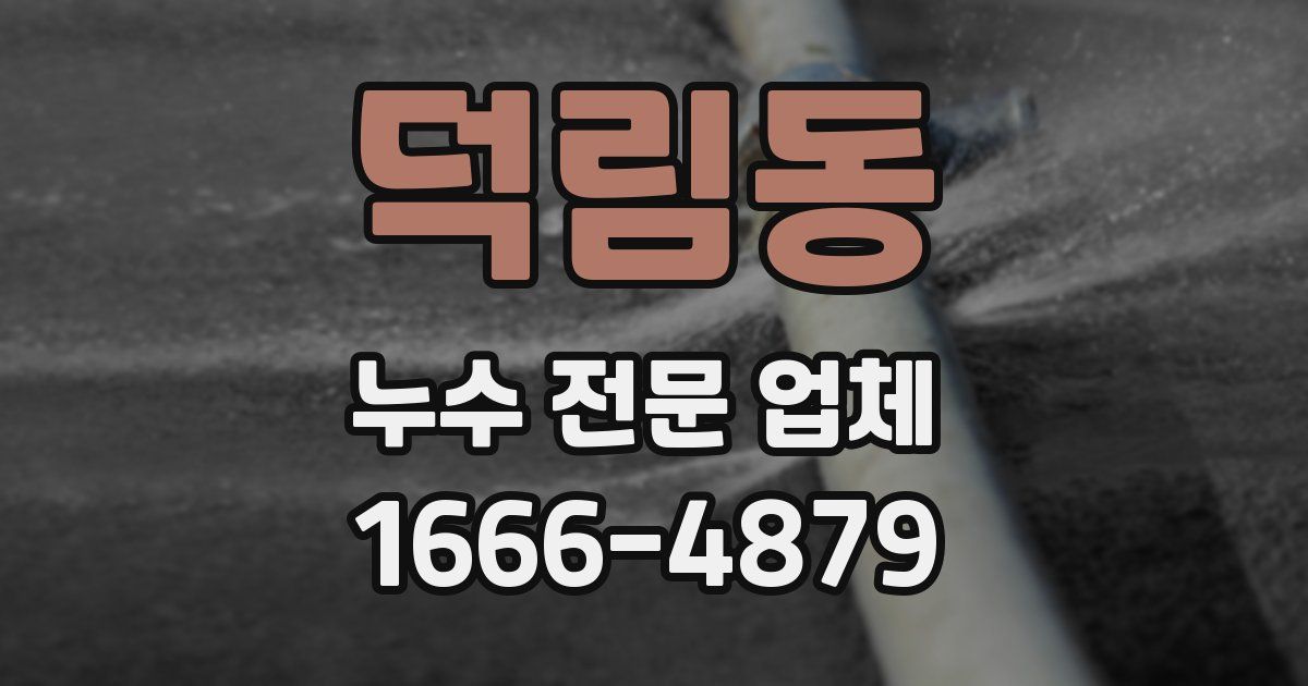 덕림동 누수 전문 업체