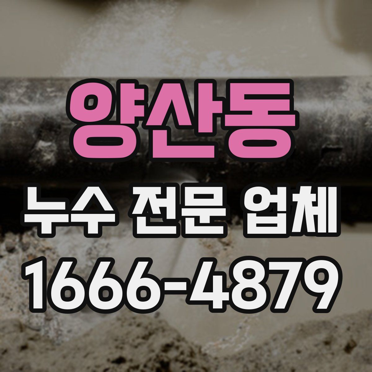 양산동 누수 전문 업체